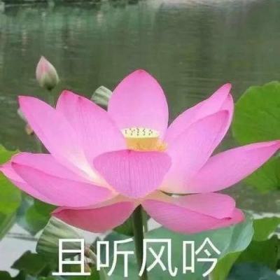黑龙江省哈尔滨市委常委、政法委书记梁野接受审查调查