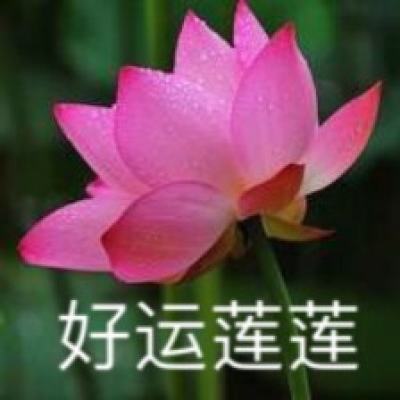 台湾各界：谋“独”挑衅破坏ECFA实施基础，终究“祸台”“害台”